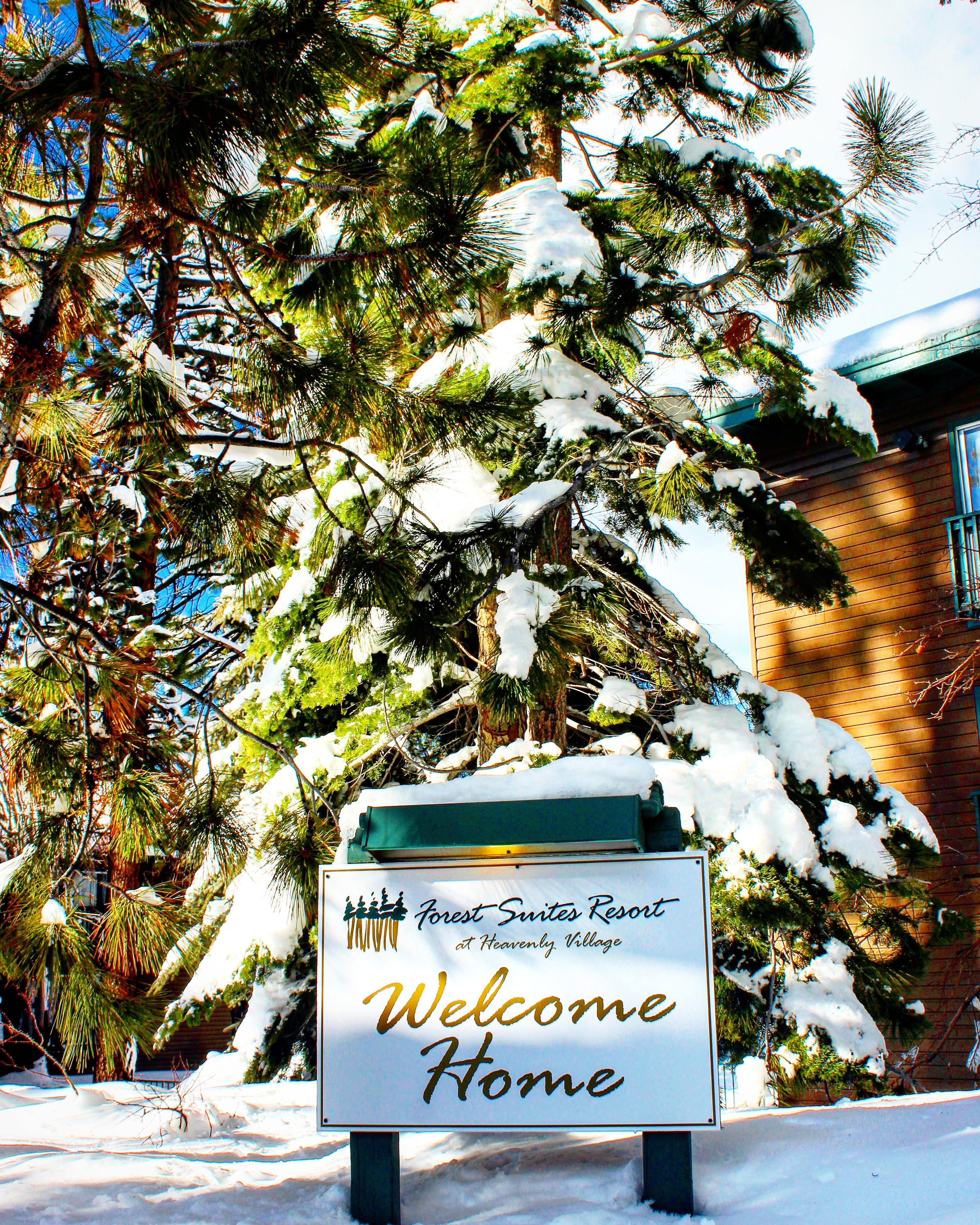 Resort Forest At The Heavenly Village South Lake Tahoe